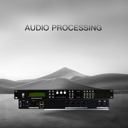Audio Processing
